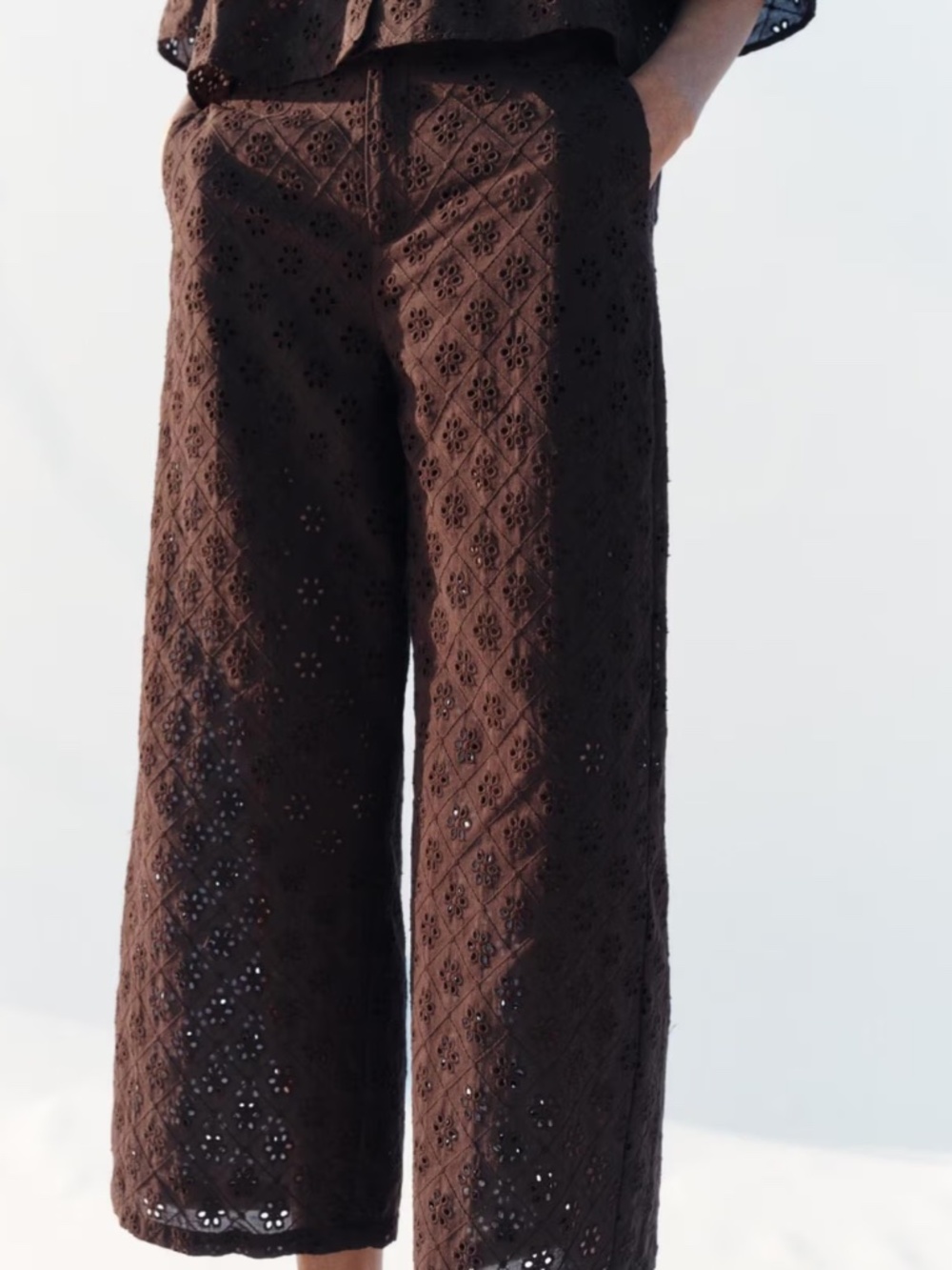 Zara Embroidered Pants Brown